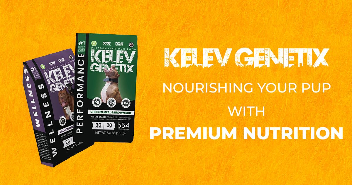 Introducing Kelev Genetix Nourishing Your Pup with Premium Nutrition