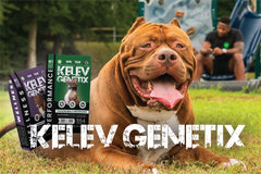 Kelev Genetix Premium Dog Food