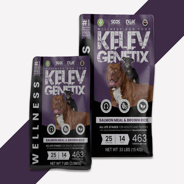 Wellness Salmon & Brown Rice Dog Food